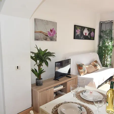 Rnet - 600 Llevant 03-12 * רוזס